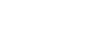 toyosa